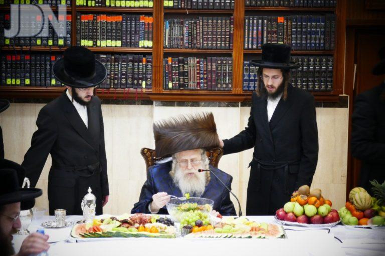 קאמארנא ט''ו בשבט פה (6)