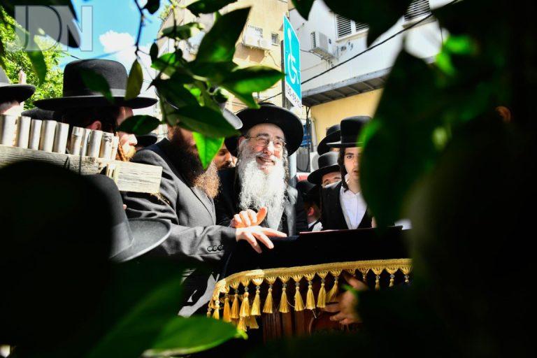 אלכסנדר ברכת האילנות (5)