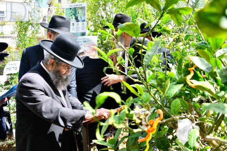 הגר''מ בן שמעון ברכת האילנות (6)