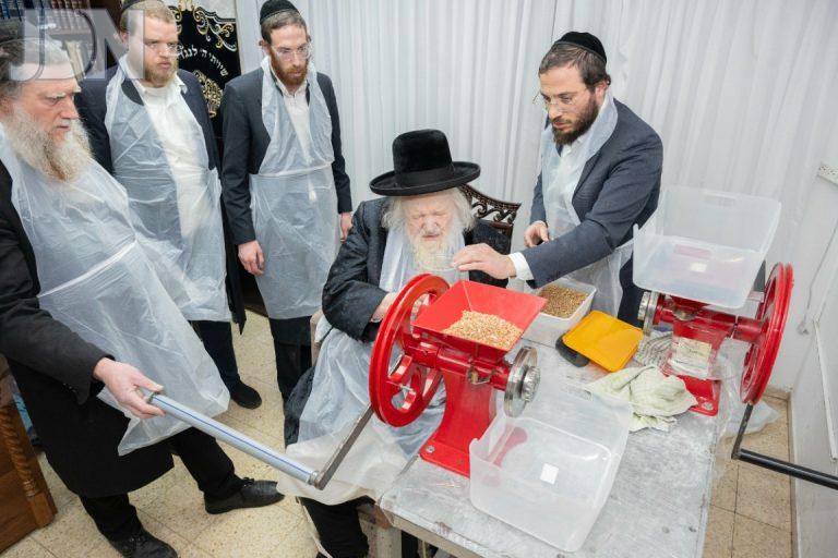 הגר''מ שטרנבוך טחינת חיטים (4)