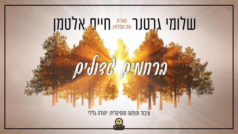 מלבן (27)