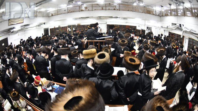 פורים בחצה''ק מחנובקא תשפ''ה צילום שוקי לרר (2)