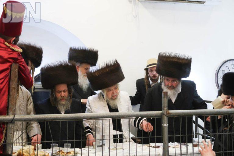 פורים בחצר הקודש קרעטשניף סיגעט צילום מ א נוימן (2)