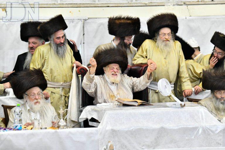 פורים חצה''ק תולדות אהרון תשפ''ה צילום שוקי לרר (10)