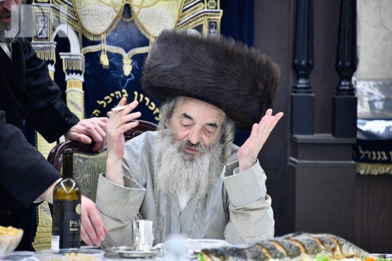 פורים לעלוב תשפ''ה צילום שוקי לרר (22)