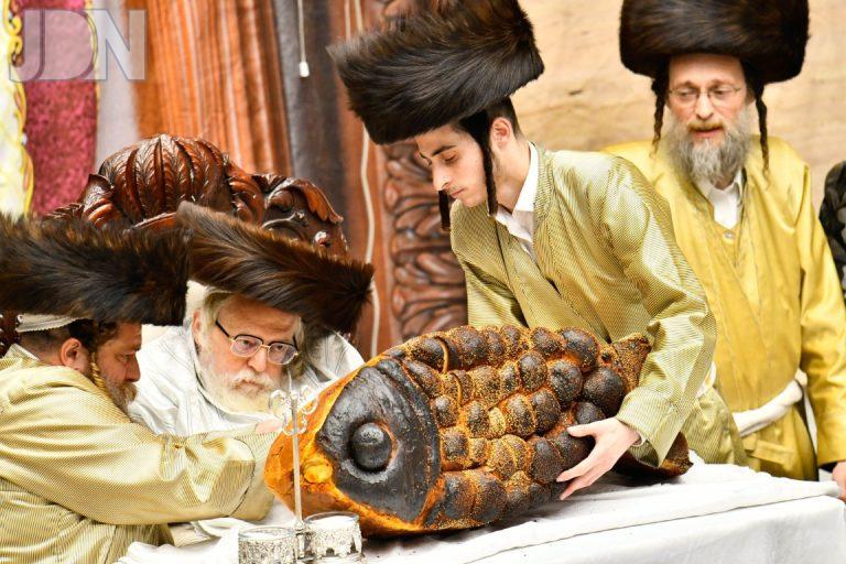 פורים תולדות אברהם תשפ''ה צילום שוקי לרר (14)