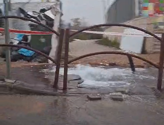 צילום מסך 2025-03-03 191635