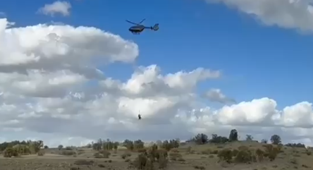 צילום מסך 2025-03-19 154210