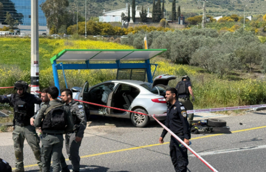 צילום מסך 2025-03-24 134739