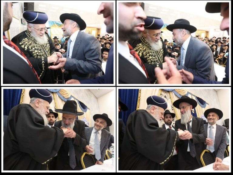 גלריה (1)