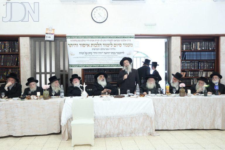 דושינסקיא דיינים (7)