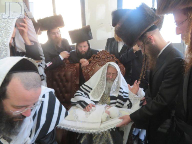 האדמור מקאליש ברית כץ בראד (1)