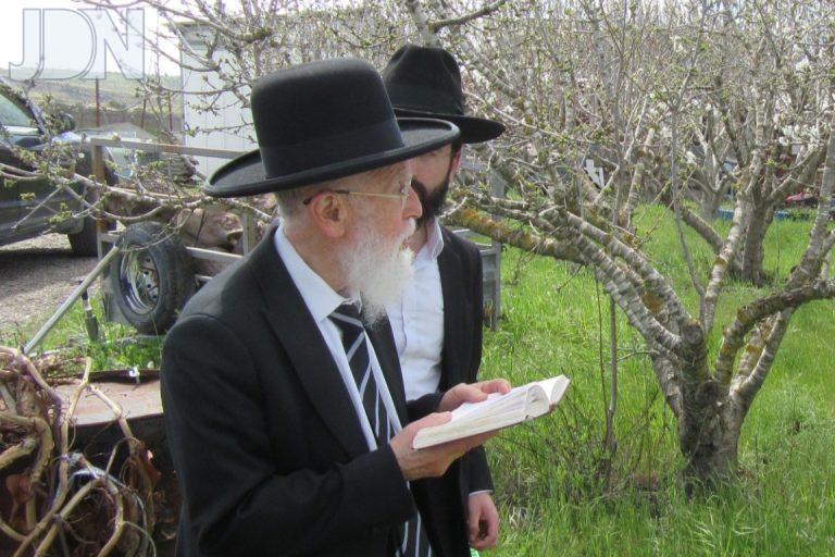 הגר''א טופיק ברכת האילנות (11)