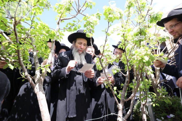 הגר''ב פינקל הגר''י אפרתי ברכת האילנות (10)