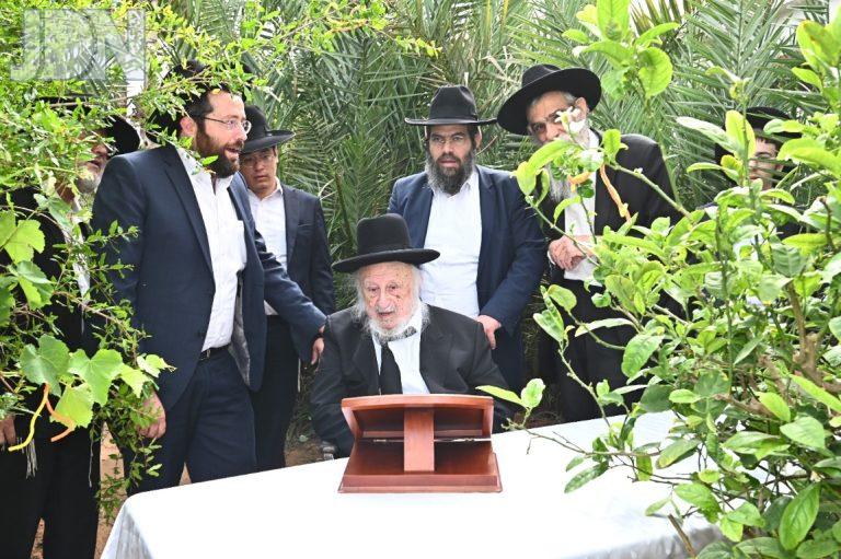 הגרב''ד פוברסקי בברכת האילנות (19)