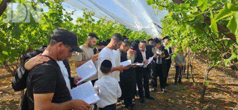 הגר''מ גרוס פסח (1)