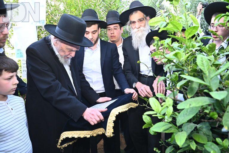 הגרמ''ה הירש ברכת האילנות תשפ''ה (12)