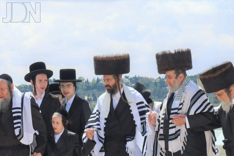 זוויעהל חול המועד פסח פה (5)