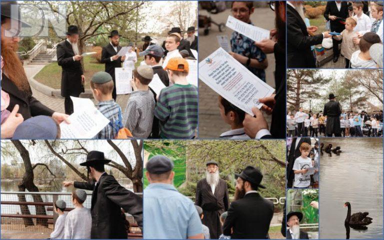 חב''ד מוסקבה ברכת האילנות (87)