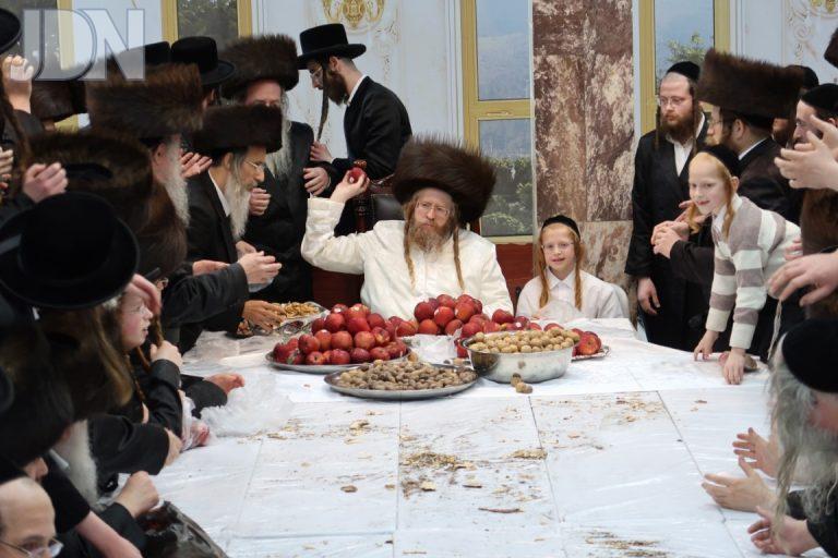 חג הפסח בחצה''ק שומרי אמונים צילום דודי סגל (3)