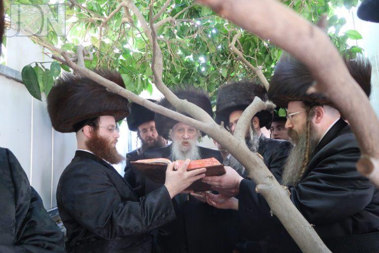 טשארנאביל ברכת האילנות (2)