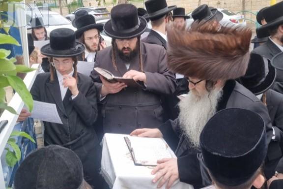 נדבורנה אלעד ברכת האילנות (122)