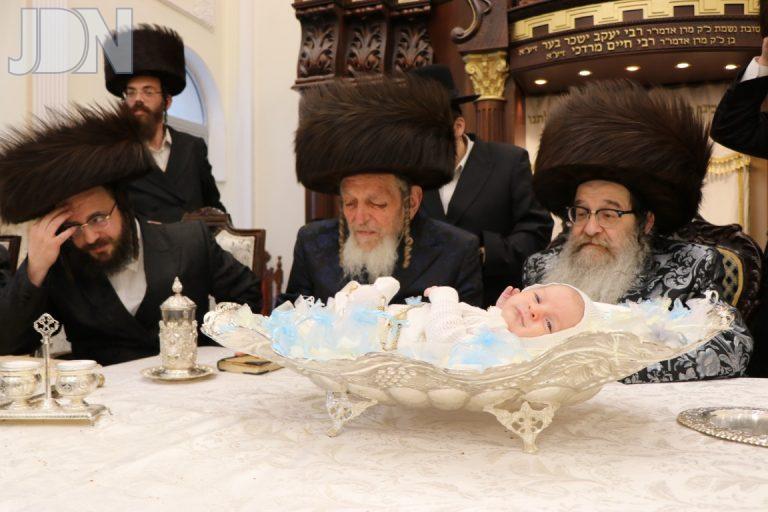 נדבורנה אלעד פדיון הבן (1)