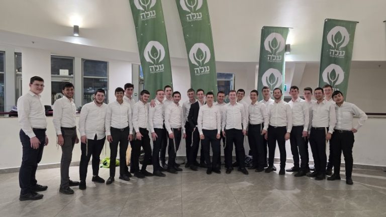 עלה -אתנחתא ערב פסח -תמונה