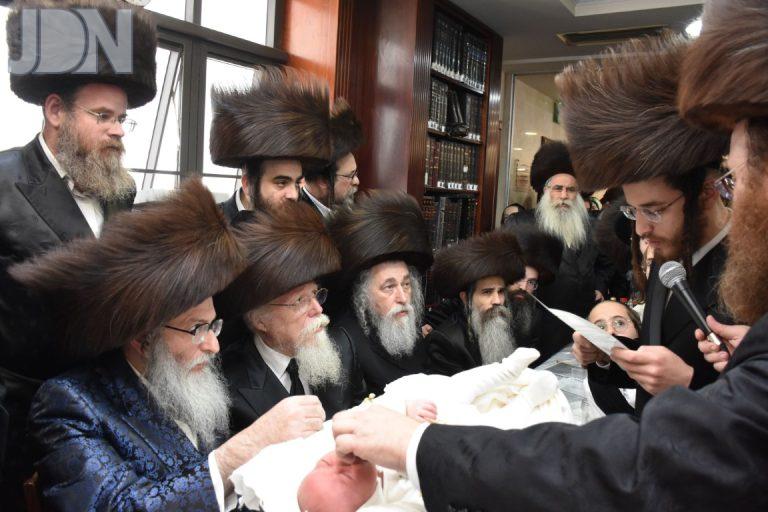 פדיון הבן לבן נין בעל העקבי אבירים מסדיגורא צילום יהודה פרקוביץ (9)