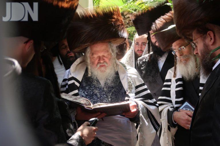 פרמישלאן ברכת האילנות י