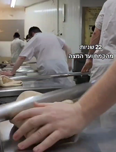צילום מסך 2025-04-10 135530