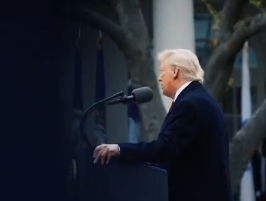 צילום מסך 2025-04-17 192416