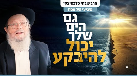 צילום מסך 2025-04-18 122842