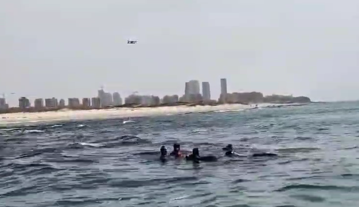 צילום מסך 2025-04-22 143440