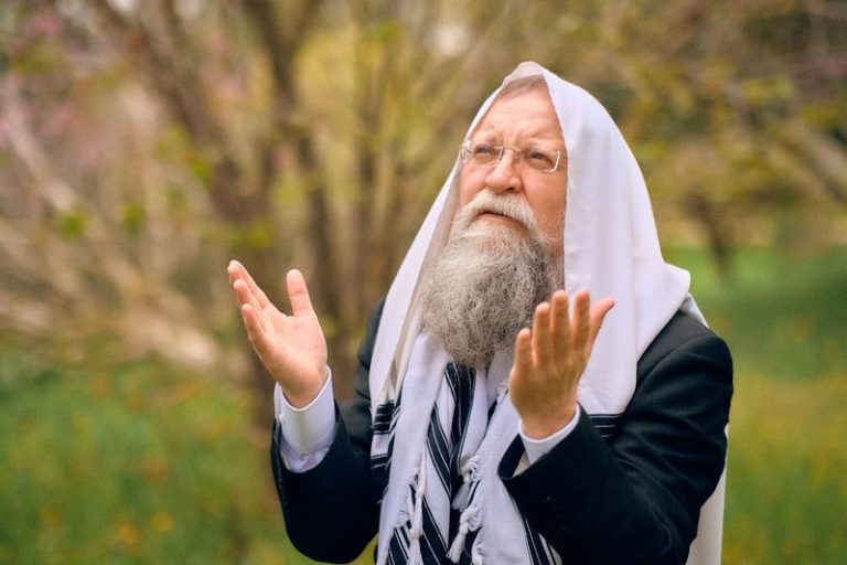 צילום עמיאל כסלו_800x533