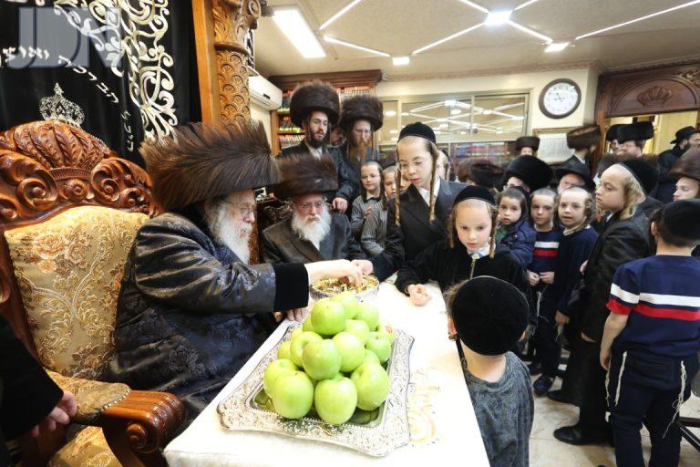 קאמארנא פסח טריכטר (1)