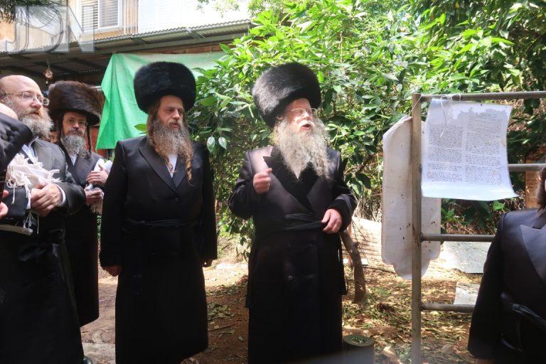 קוזמיר ברכת האילנות (11)