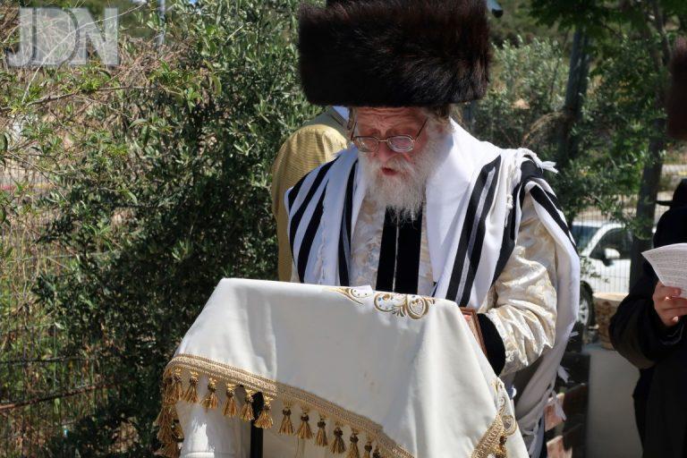 שאץ דרהאביטש ברכת האילנות (4)