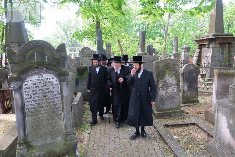 ביאלא פשיסחא פולין (4)