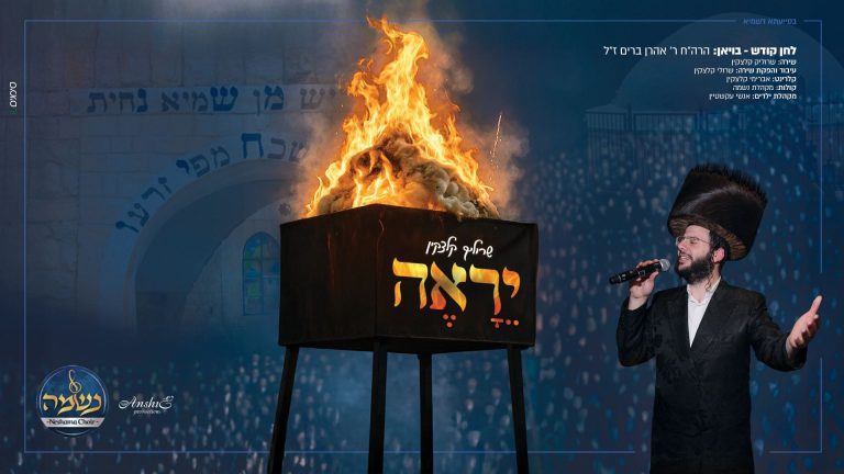מלבן (31)