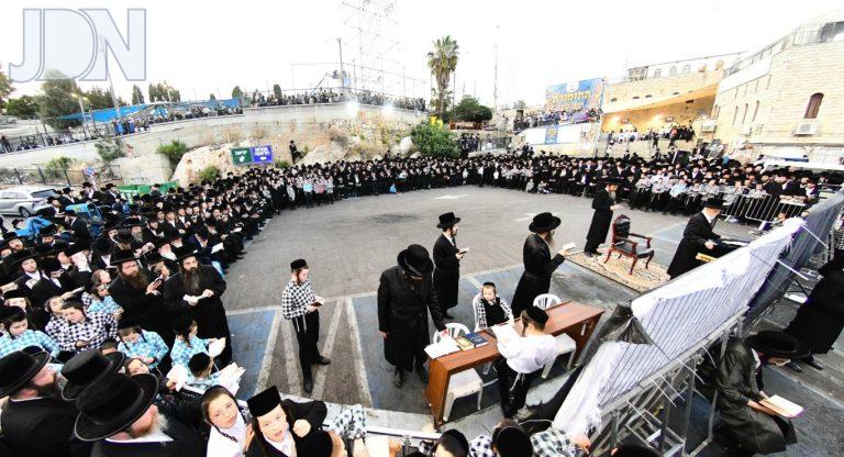 סערט ויזניץ במירון צילום שוקי לרר (7)