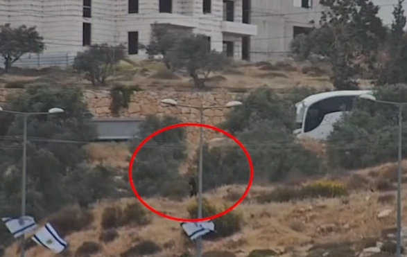 צילום מסך 2025-05-01 145944