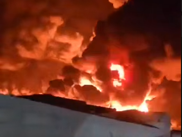 צילום מסך 2025-05-06 082617