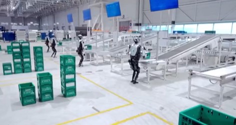 צילום מסך 2025-05-22 140125