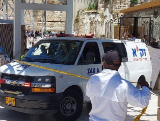 צילום מסך 2025-05-28 133304