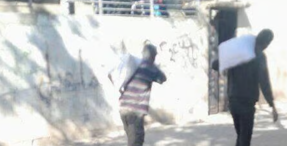 צילום מסך 2025-05-28 185521