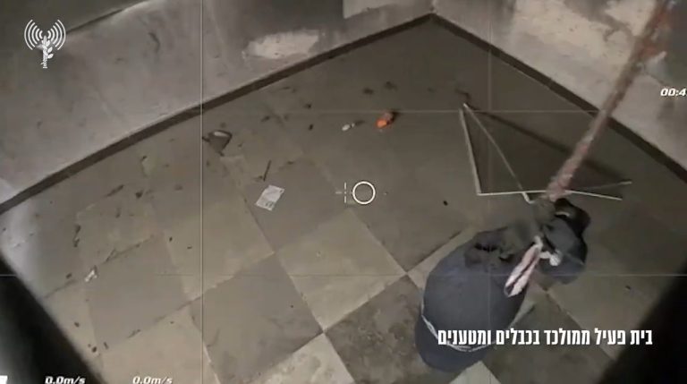 צילום מסך 2025-05-30 110924