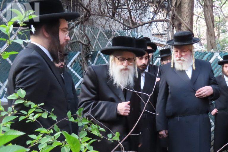 קאשוי ברכת האילנות (55)