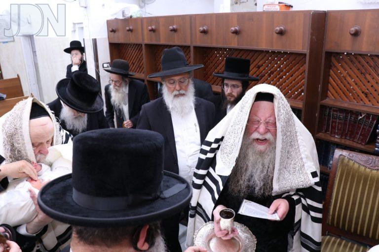 קוזמיר ברית (15)