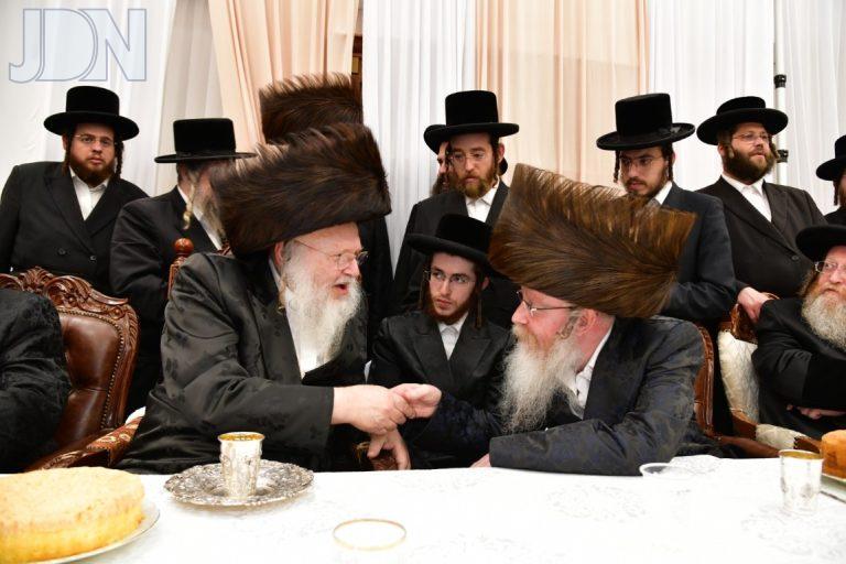 קרעטשניף קרית גת קאמארנא בית שמש תנאים (25)